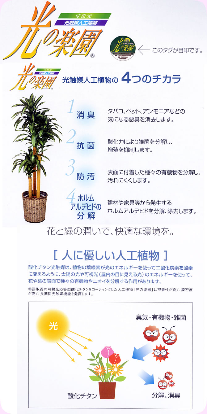 アレンジメントフラワー・アレンジメントグリーン(人工観葉植物)の光触媒とは