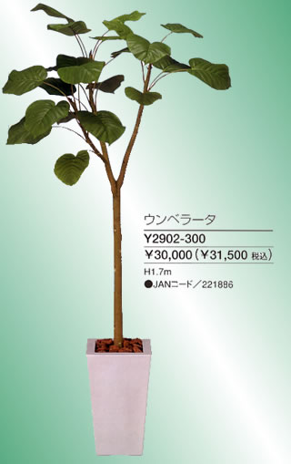 光触媒機能付きクオリア・アーツアレンジメントグリーン（人工樹木の観葉植物） ウンベラータ　高さ1.7m Y2902-300
